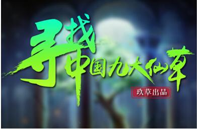 互联网+养生模式 湖南80后移动互联网创业之路